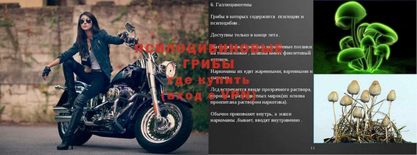 эйфоретик Краснотурьинск